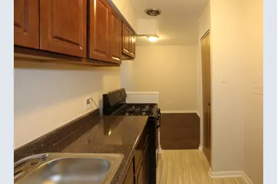 1040 W Hollywood Avenue #205, Chicago, IL 60660 - Photo 5