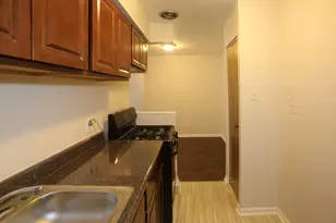 1040 W Hollywood Ave, Chicago, IL 60660 - Photo 5