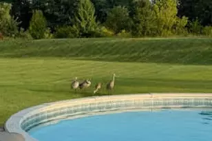 41W900 Northway Dr, Elburn, IL 60119 - Photo 37