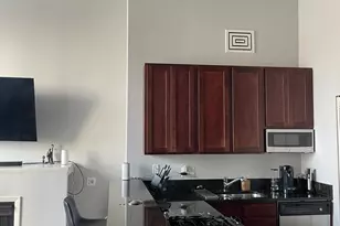 [Address not provided], Chicago, IL 60616 - Photo 3