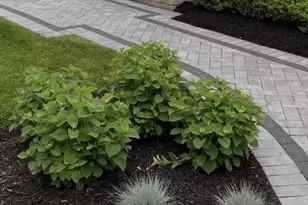 332 Prairie Knoll Dr, Naperville, IL 60565 - Photo 3