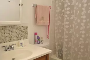 2243 W Nichols Rd, Arlington Heights, IL 60004 - Photo 13