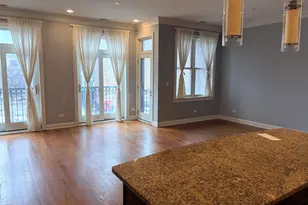 218 N Halsted St, Chicago, IL 60661 - Photo 5