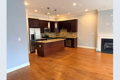 218 N Halsted Street #3, Chicago, IL 60661 - Photo 3