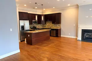 218 N Halsted St, Chicago, IL 60661 - Photo 3