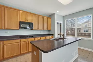 411 Hopkins Ave, Elgin, IL 60124 - Photo 9