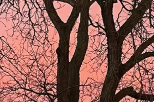 1105 N Mill St, Naperville, IL 60563 - Photo 21