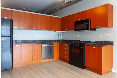 212 E Cullerton Street #410, Chicago, IL 60616 - Photo 5