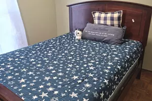 18W100 16th St, Villa Park, IL 60181 - Photo 7