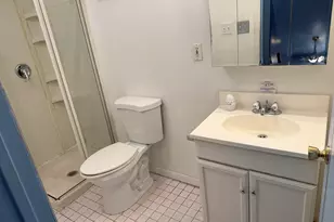 9329 S Colfax Ave, Chicago, IL 60617 - Photo 13