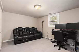 4301 Whitehall Ln, Richton Park, IL 60471 - Photo 13