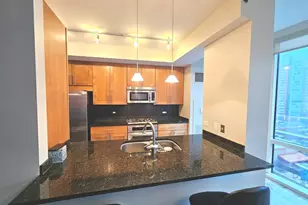 505 N McClurg Ct, Chicago, IL 60611 - Photo 5