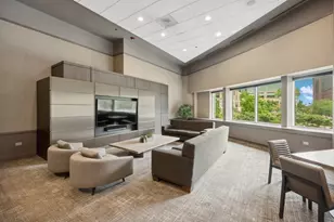 505 N McClurg Ct, Chicago, IL 60611 - Photo 27