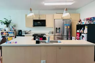 3115 S Michigan Ave, Chicago, IL 60616 - Photo 5