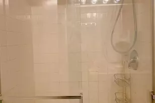 3115 S Michigan Ave, Chicago, IL 60616 - Photo 13