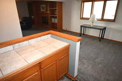 15545 Mimosa Drive, Orland Park, IL 60462 - Photo 53