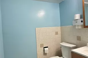 4819 W Winnemac Ave, Chicago, IL 60630 - Photo 17