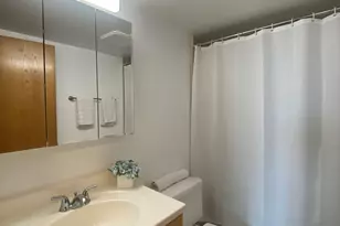 4600 N Cumberland Ave, Chicago, IL 60656 - Photo 11