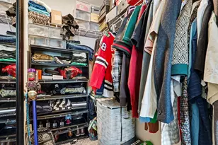 562 Spring Leaf Dr, Joliet, IL 60431 - Photo 21