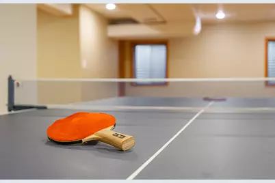 311 Briarwood Lane, Algonquin, IL 60102 - Photo 37