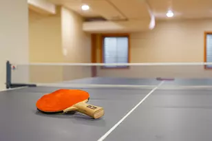 311 Briarwood Ln, Algonquin, IL 60102 - Photo 37