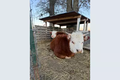 4239 Seven Hills Road, Odin, IL 62870 - Photo 61