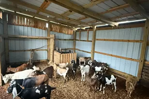 4239 Seven Hills Rd, Odin, IL 62870 - Photo 53