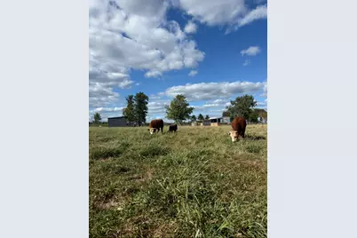 4239 Seven Hills Road, Odin, IL 62870 - Photo 49