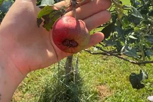 4239 Seven Hills Rd, Odin, IL 62870 - Photo 47