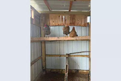 4239 Seven Hills Road, Odin, IL 62870 - Photo 51