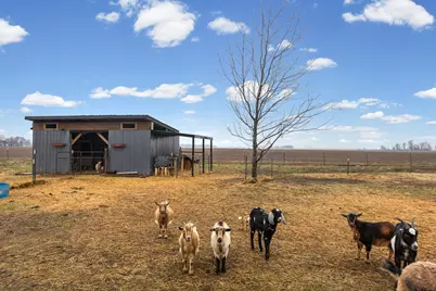 4239 Seven Hills Road, Odin, IL 62870 - Photo 9