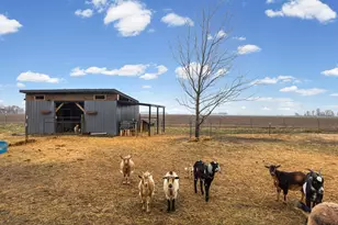 4239 Seven Hills Rd, Odin, IL 62870 - Photo 9