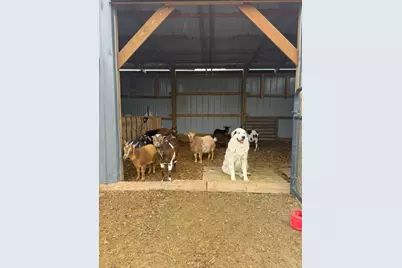 4239 Seven Hills Road, Odin, IL 62870 - Photo 55