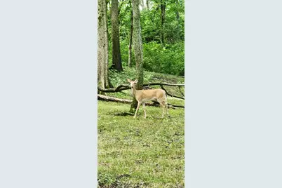 3085 W Southmor Road, Morris, IL 60450 - Photo 49