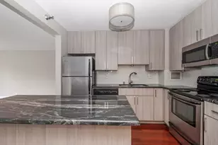 401 E Ontario St, Chicago, IL 60611 - Photo 7