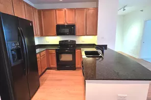 1841 S Calumet Ave, Chicago, IL 60616 - Photo 3