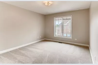 347 Arbor Glen Boulevard, Schaumburg, IL 60195 - Photo 17