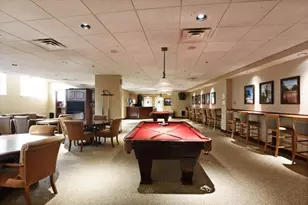 1335 S Prairie Ave, Chicago, IL 60605 - Photo 27