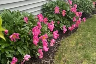 21249 Lily Lake Ln, Crest Hill, IL 60403 - Photo 37