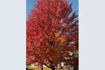 21249 Lily Lake Lane, Crest Hill, IL 60403 - Photo 41