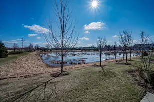 483 Watercress Dr, Aurora, IL 60504 - Photo 41