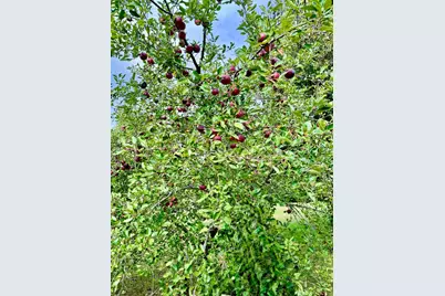 120 W Grandin Road, Morris, IL 60450 - Photo 19