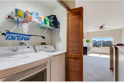 546 Meadow Lily Drive, Joliet, IL 60431 - Photo 19