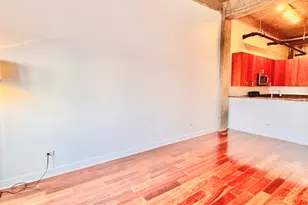 320 E 21st St, Chicago, IL 60616 - Photo 5