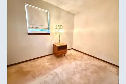 3215 S Lowe Avenue, Chicago, IL 60616 - Photo 25