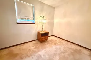 3215 S Lowe Ave, Chicago, IL 60616 - Photo 25