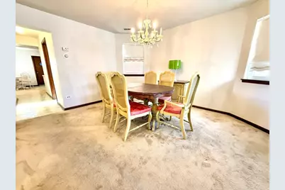 3215 S Lowe Avenue, Chicago, IL 60616 - Photo 21