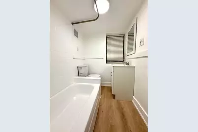 3215 S Lowe Avenue, Chicago, IL 60616 - Photo 33