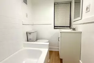 3215 S Lowe Ave, Chicago, IL 60616 - Photo 33