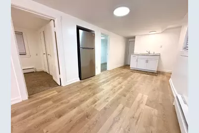 3215 S Lowe Avenue, Chicago, IL 60616 - Photo 31